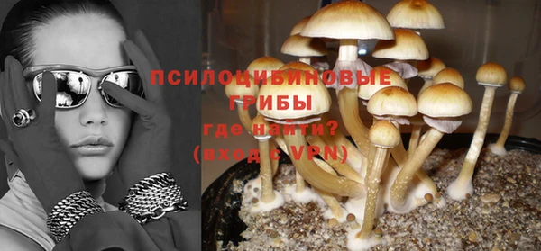 первитин Покачи